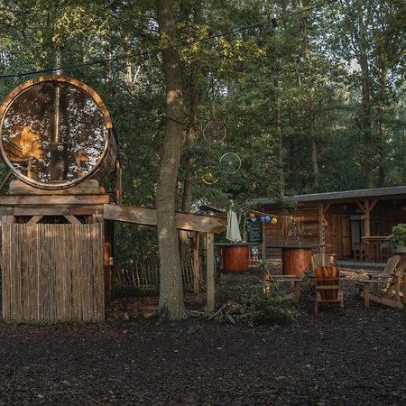 Tinyparks Forest Cabins Hoogersmilde Extérieur photo