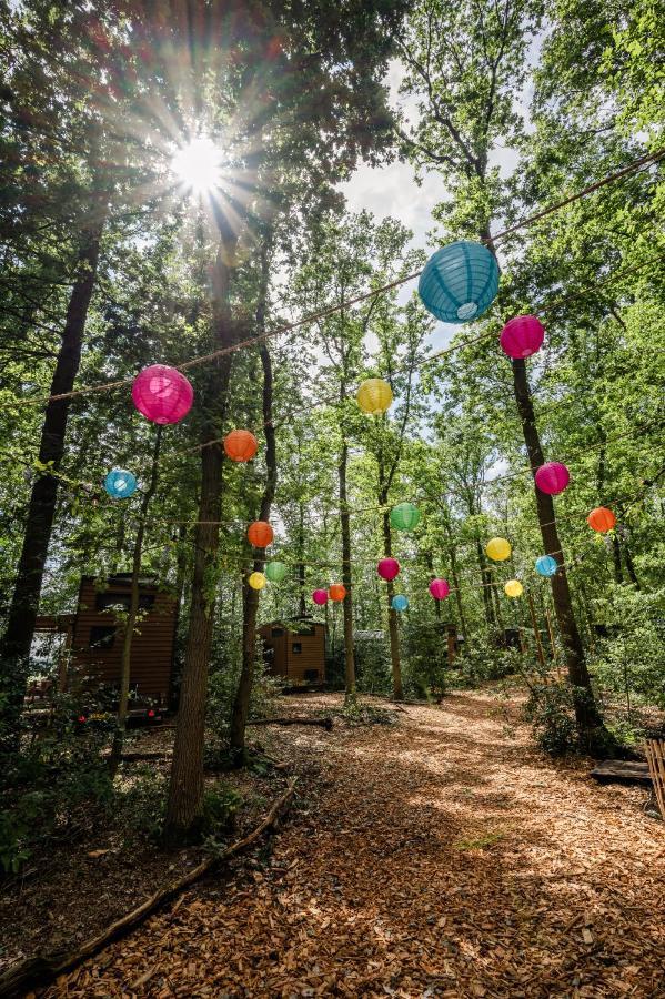 Tinyparks Forest Cabins Hoogersmilde Extérieur photo